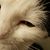 Danelle Rusch's profile image