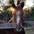 Colleen Chisman's profile image