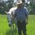 Eric Morgan's profile image