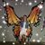 Kelly Fulford's profile image