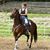 Diane Thomas Deemer's profile image