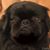 Carmencita Puente Hernandez's profile image