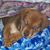 Mary Almansa's profile image