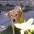 Marsha Wood's profile image
