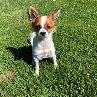 Tammy Tipton Christensen's profile image