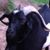 Nabisco DaKid's profile image
