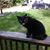 Kristin Hawk-Baird's profile image