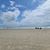 Denise LaChall-Waite's profile image