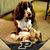 Sundra L. Swails's profile image