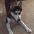 Kathy Dawkins Browning's profile image