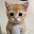Fermin Herrera III's profile image