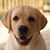 Mariann Izzo Cheney's profile image