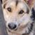 Gail Kovach's profile image