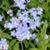 Karen LaFreniere DellAngelo's profile image