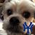Esau Spruill's profile image