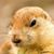 Lee Anderson's profile image