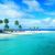 Michelle Borg Berry's profile image