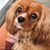 Richard Winstanley's profile image