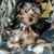 Steven Boettcher's profile image