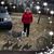 Ruth Stevens's profile image