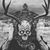 Chris Haas's profile image