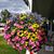 Renee Philpott's profile image