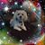 Natalie Alexander's profile image
