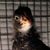 Eric Granquist's profile image