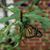 Linda Leonard's profile image