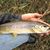 Brian Clark's profile image