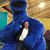 David Duffy's profile image