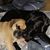 Monica Teasley's profile image