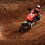 Auston Albers's profile image
