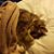 Diana Copeland Forness's profile image