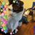 Tamela Baas's profile image