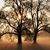 Katherine Birch Sorensen's profile image