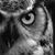 James D. Cox's profile image
