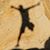 Patrick Van Beusekom's profile image