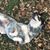 Cathy Lappin's profile image