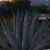 Mary J Botham's profile image