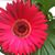 Kate Hartung's profile image