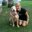Katy Hisrich's profile image