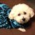 Michelle Ewing-Brown's profile image
