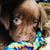 Lisa McCartin's profile image