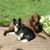 June Goodyear Bean's profile image