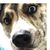 Nadia Abudayeh's profile image