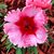 Barbara Janson's profile image