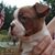 Nancy DeClerck's profile image