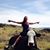Angela Myers Hoover's profile image