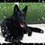 Roland Verrier's profile image